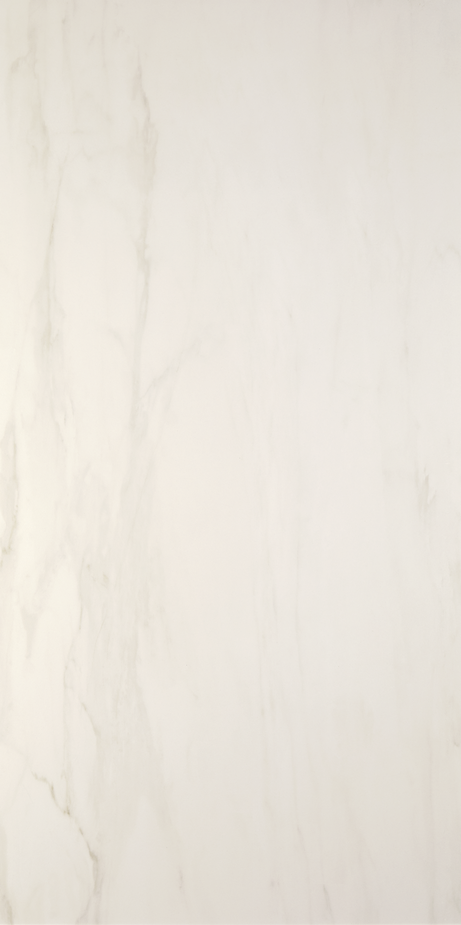 CHARLESTON 60X120 Natural Rectified