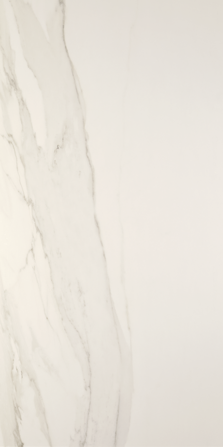 CHARLESTON 60X120 Natural Rectified