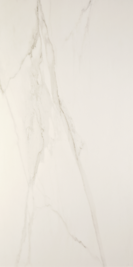 CHARLESTON 60X120 Natural Rectified