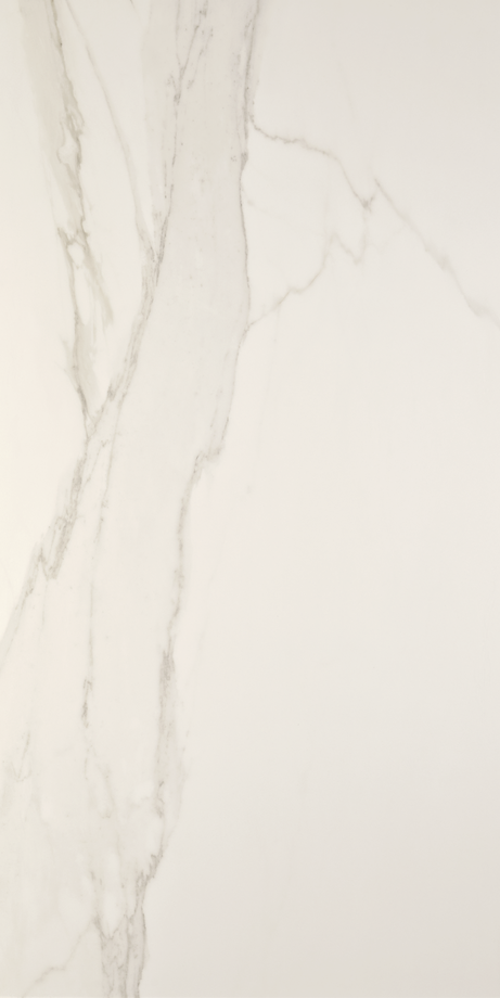 CHARLESTON 60X120 Natural Rectified