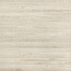 WOODY WHITE