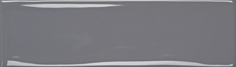 VIVANT GRIS 07X24,4 Glossy Bold