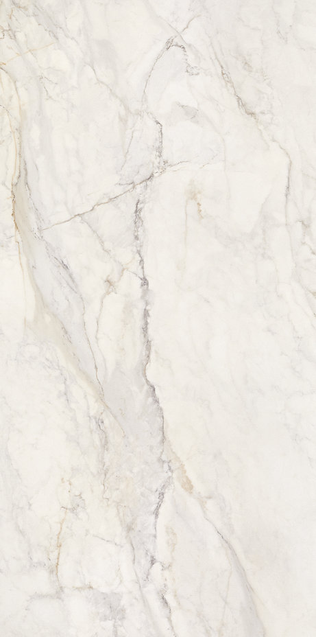 APUANO ORO 60X120 Polished Rectified