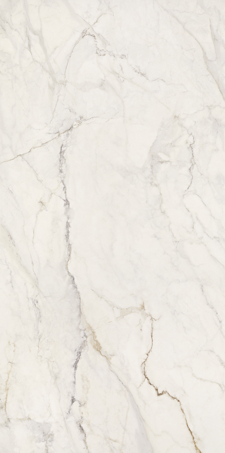 APUANO ORO 60X120 Polished Rectified