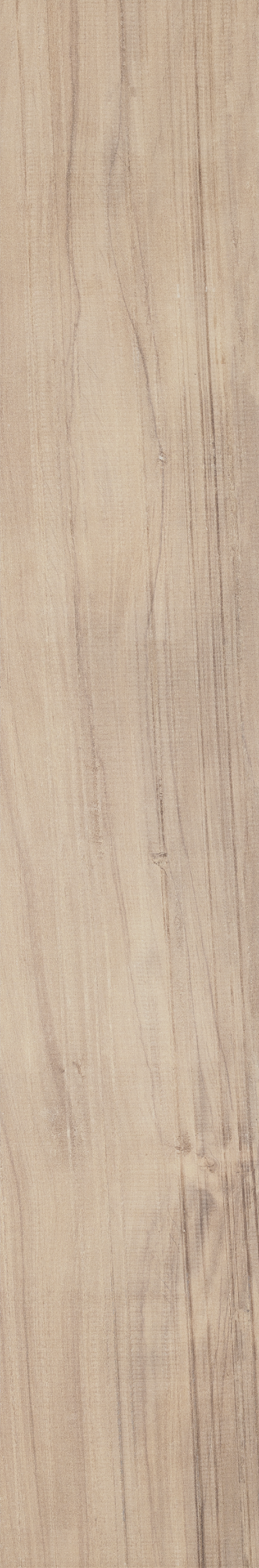 ARCA NORDIC ST 20X120 Natural Rectified