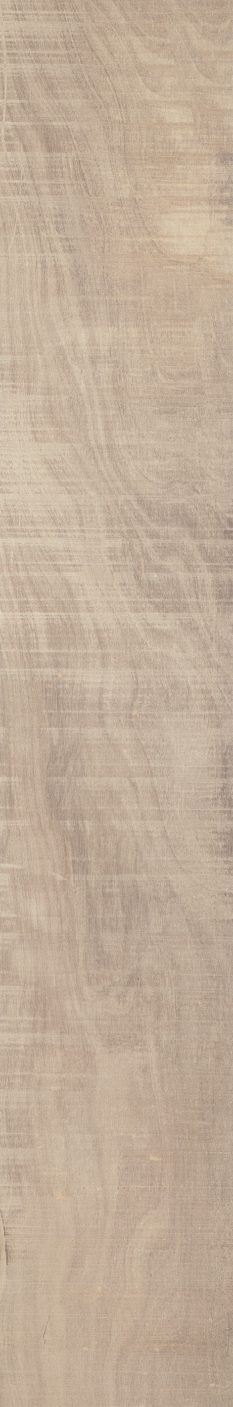 ARCA NORDIC ST 20X120 Natural Rectified