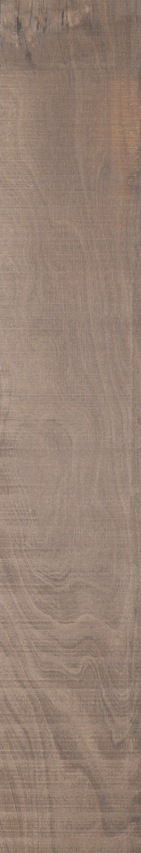 ARCA TROPICAL ST 20X120 Externo Retificado