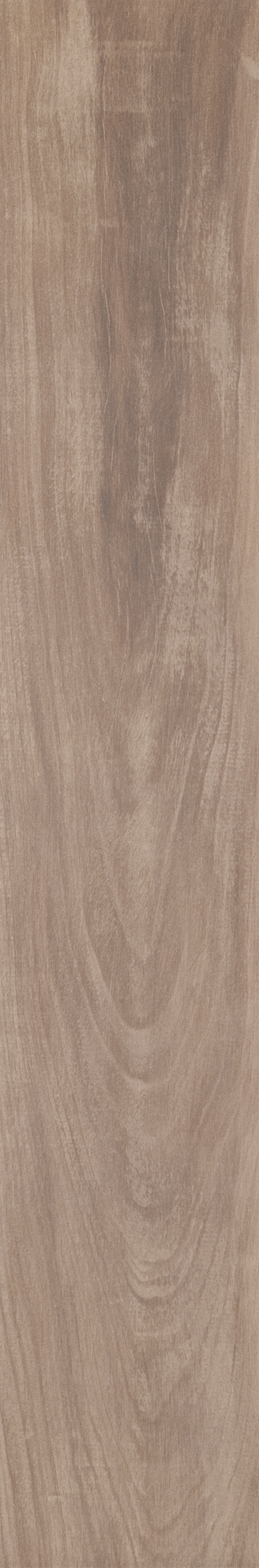 ARCA TROPICAL ST 20X120 Externo Retificado