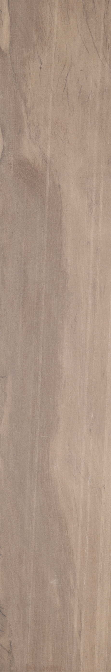 ARCA TROPICAL ST 20X120 Externo Retificado