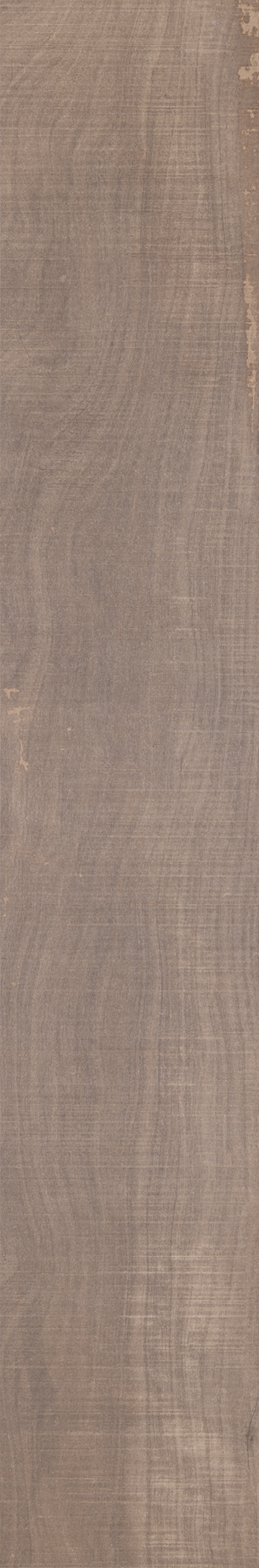 ARCA TROPICAL ST 20X120 Externo Retificado