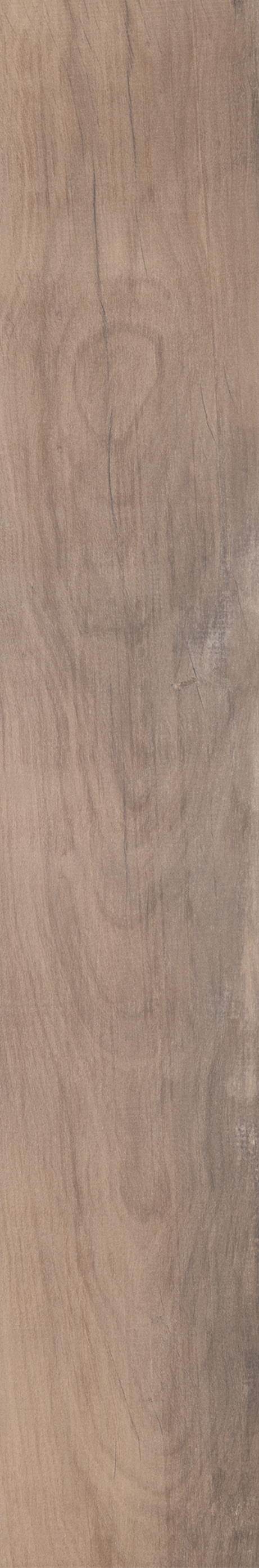 ARCA TROPICAL ST 20X120 Externo Retificado