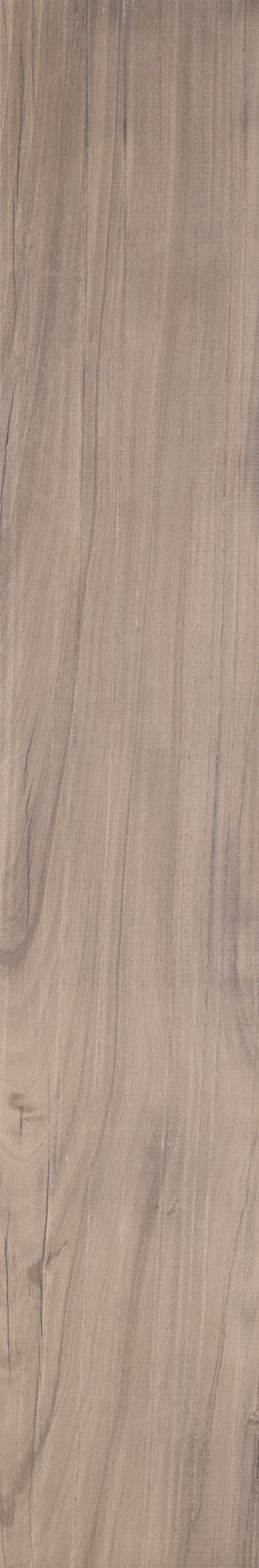 ARCA TROPICAL ST 20X120 Externo Retificado