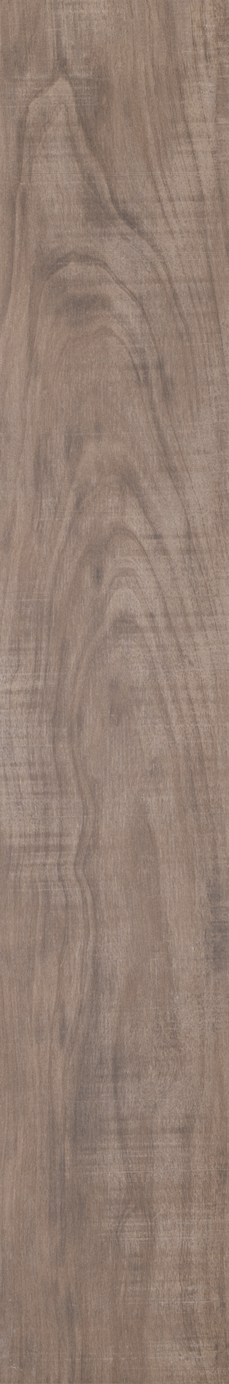 ARCA TROPICAL ST 20X120 Natural Rectified