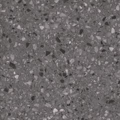 SAMBA ROCK GRAPHITE