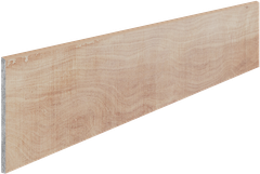 ARCA NORDIC ST