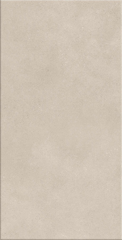 HIT CAMEL 30X60 Matte Bold