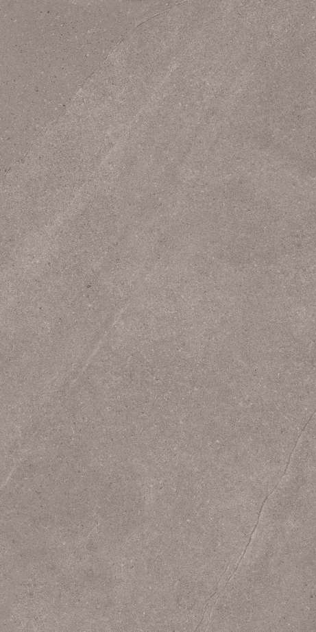 THERA GREY 60X120 Externo Retificado