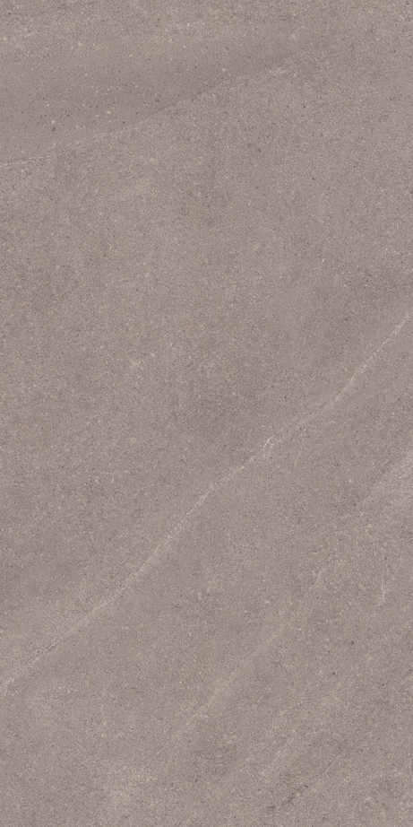 THERA GREY 60X120 Natural Retificado