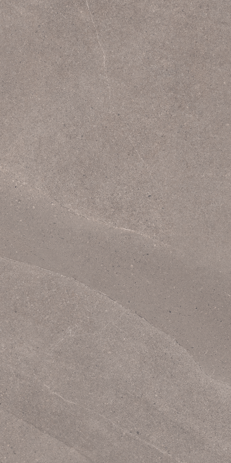 THERA GREY 60X120 Natural Retificado