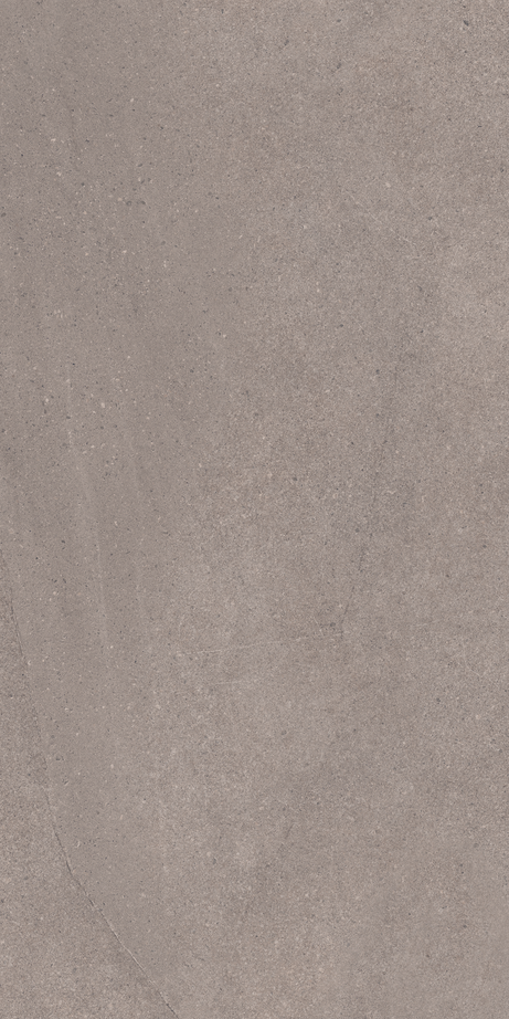 THERA GREY 60X120 Natural Retificado