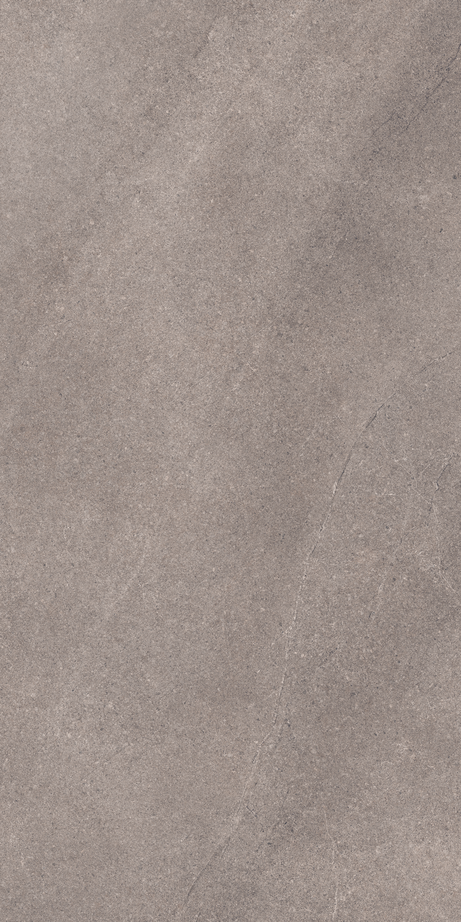 THERA GREY 60X120 Natural Retificado