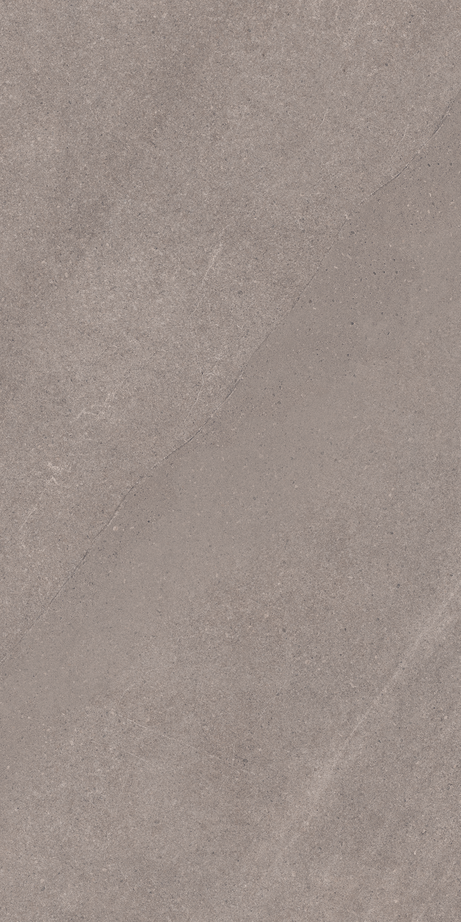 THERA GREY 60X120 Natural Retificado