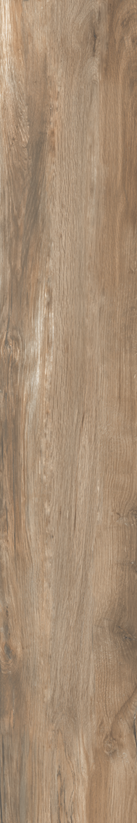 CANELA DOURADA 20X120 Natural Retificado