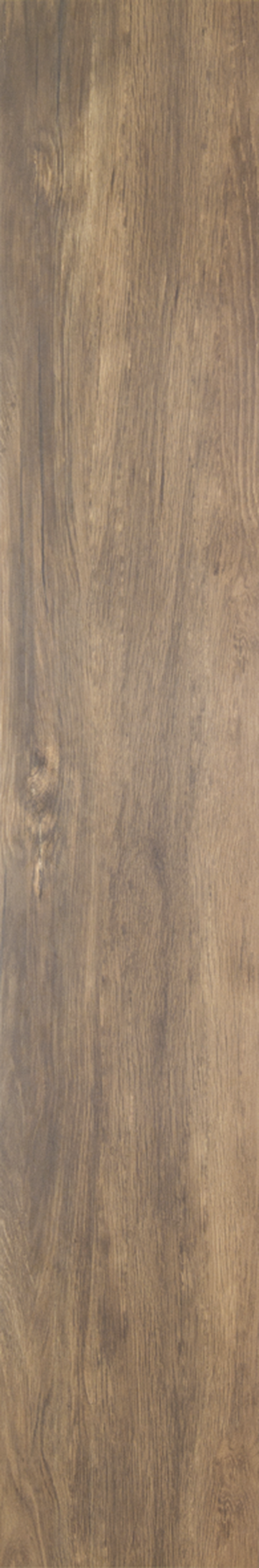 CANELA DOURADA 20X120 Natural Retificado