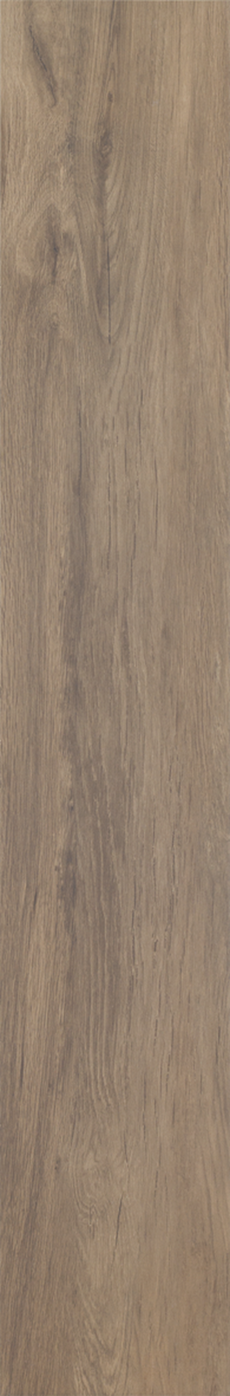 CANELA DOURADA 20X120 Natural Retificado