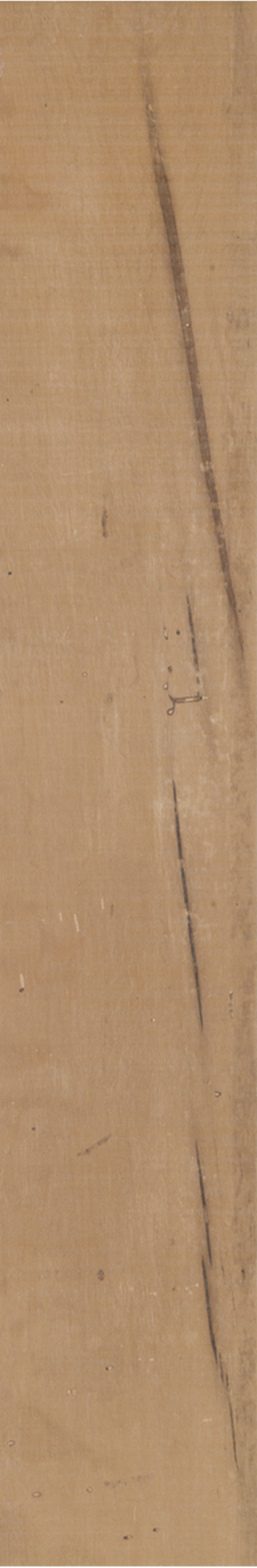 IBIRAPUERA MIX 20X120 Externo Retificado