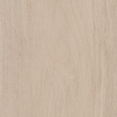 BETULA