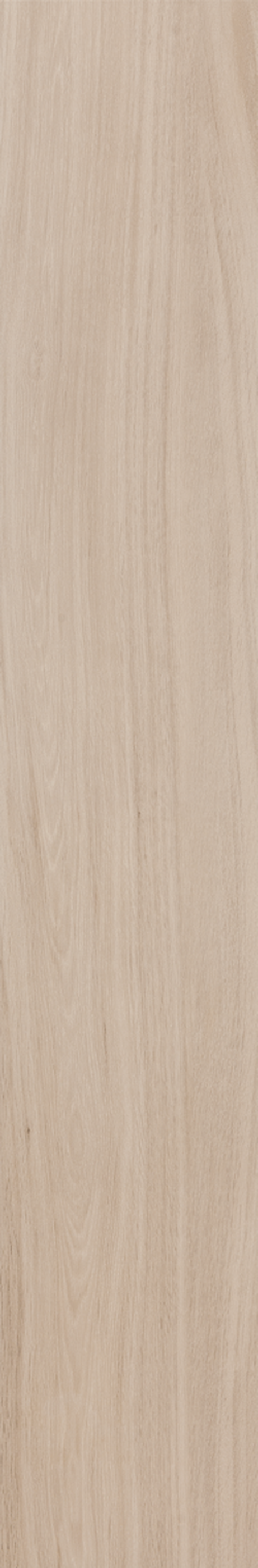 BETULA 20X120 Natural Retificado