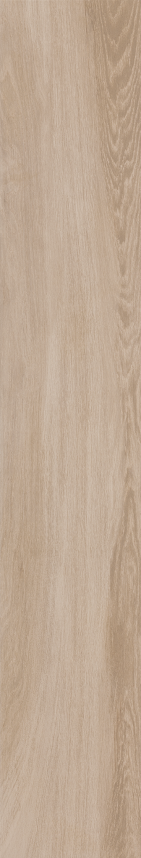 BETULA 20X120 Natural Retificado