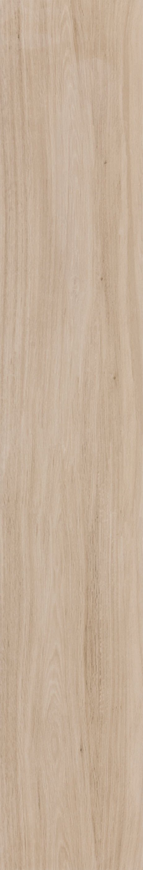 BETULA 20X120 Natural Retificado