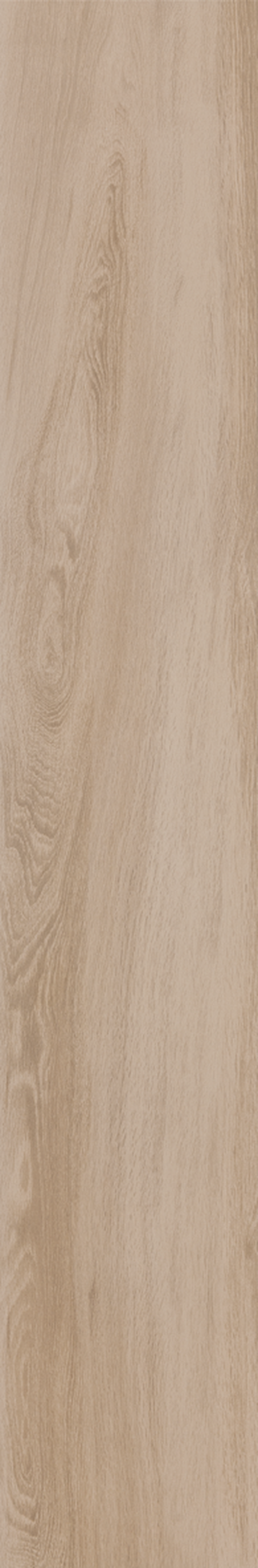 BETULA 20X120 Natural Retificado