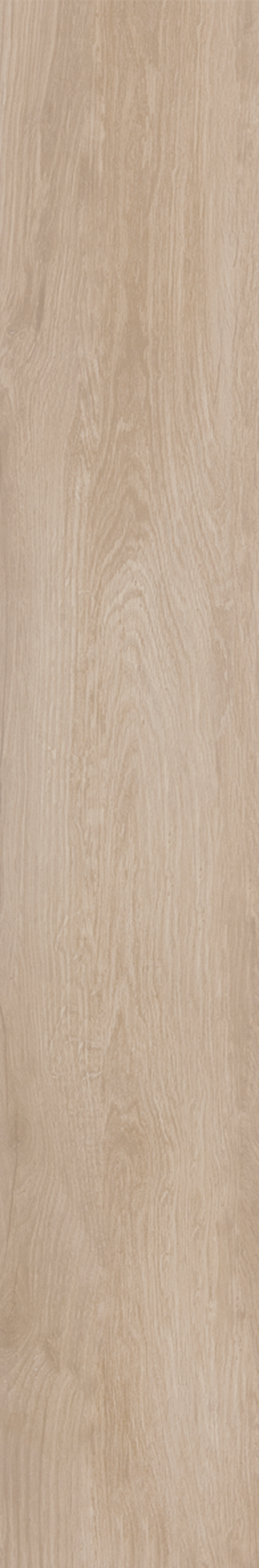 BETULA 20X120 Natural Retificado
