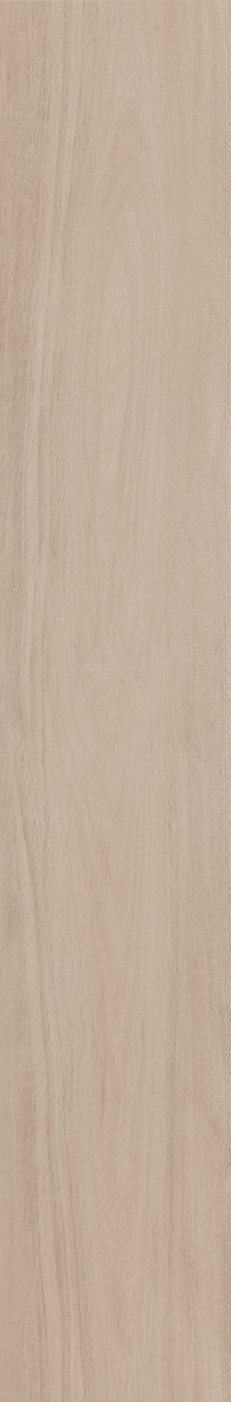 BETULA 20X120 Natural Retificado