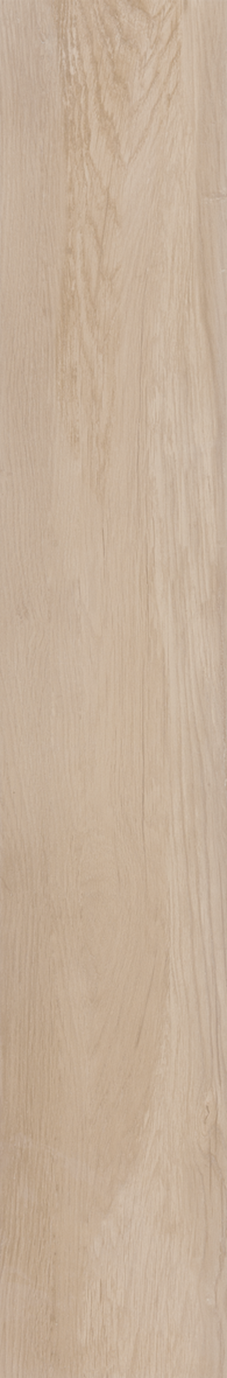 BETULA 20X120 Natural Retificado