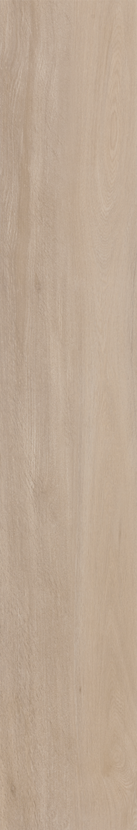 BETULA 20X120 Natural Retificado