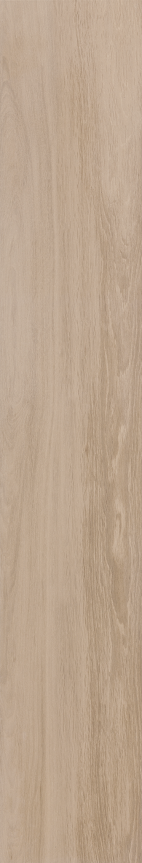 BETULA 20X120 Natural Retificado