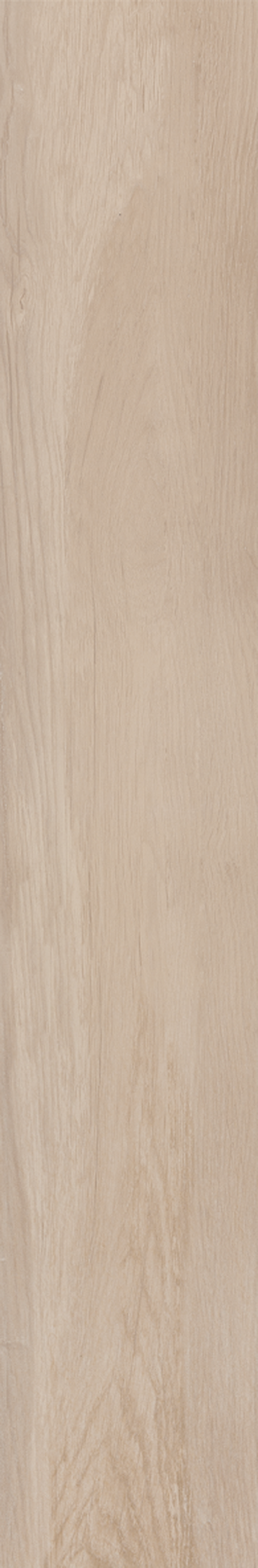 BETULA 20X120 Natural Retificado