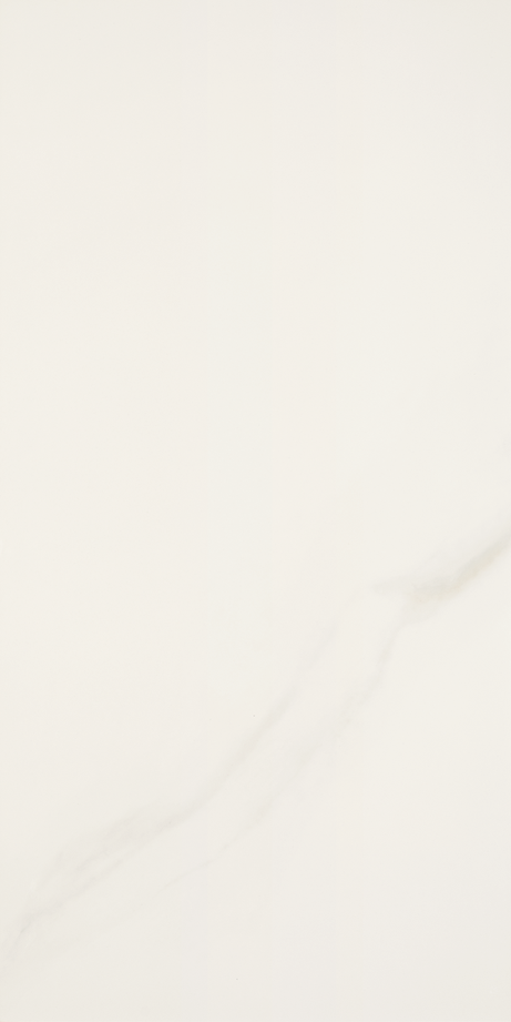 MICHELANGELO 60X120 Polished Rectified