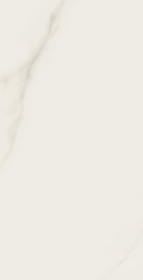 MICHELANGELO 60X120 Polished Rectified