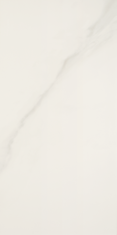 MICHELANGELO 60X120 Natural Rectified