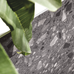 SAMBA ROCK GRAPHITE 